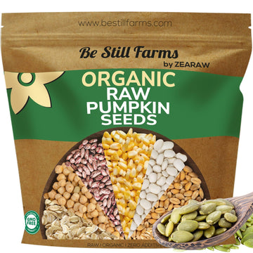 Organic Raw Pumpkin Seeds to Eat (4.8lb) - Bulk Whole Unsalted Pepitas with No Shell by Be Still Farms - Natural Snacks for Keto