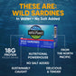 Wild Planet Wild Sardines In Water, No Salt Added, Tinned Fish, Non-Gmo, Sustainable 4.4 Ounce , (Pack Of 12)