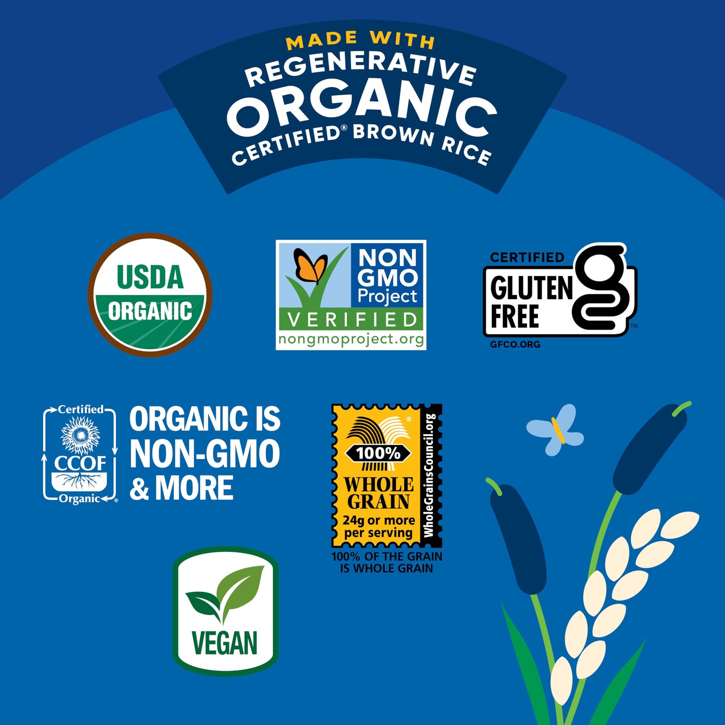 Lundberg Organic Rice Cake Minis, Sea Salt, 6-Pack  - Regenerative Organic Certified Mini Rice Cakes, Healthy Snacks, Vegan, 5 O