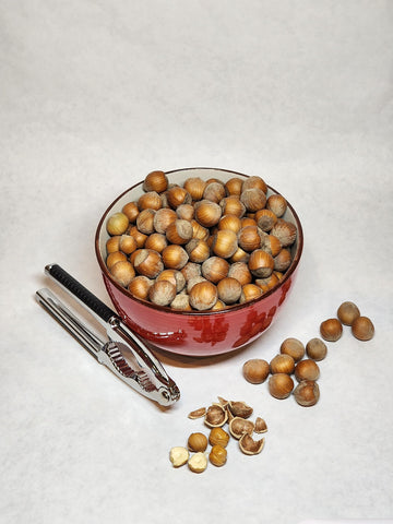 Hazelnuts in-shell, from our family orchard in Washington state (Roasted, 4 pounds)