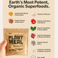 Sapling Plant Meal Replacement Shake - Vanilla, 25g Vegan Protein, 76+ Organic Superfoods, 2.45 oz