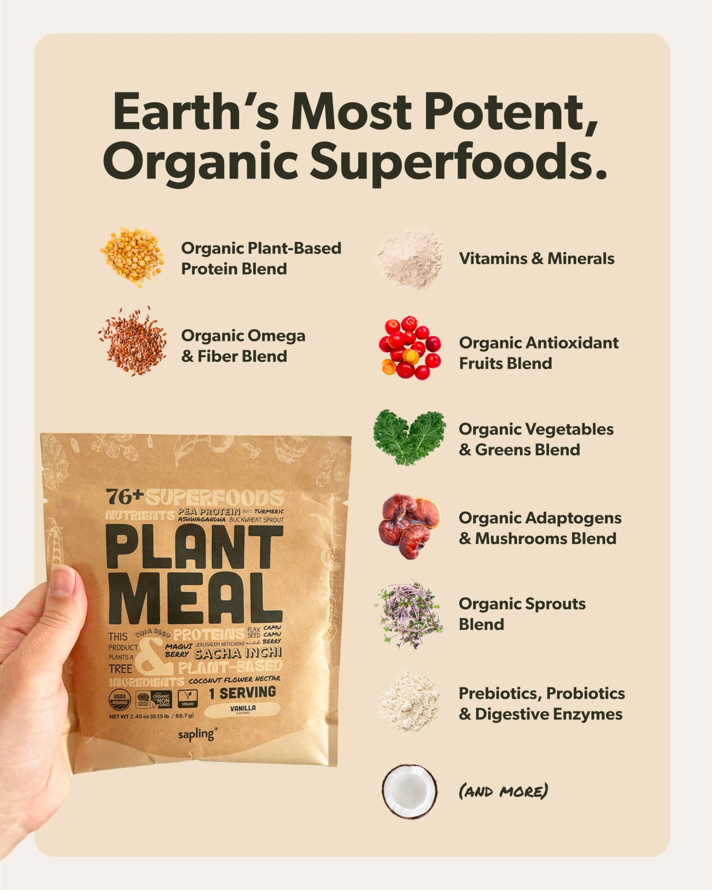 Sapling Plant Meal Replacement Shake - Vanilla, 25g Vegan Protein, 76+ Organic Superfoods, 2.45 oz