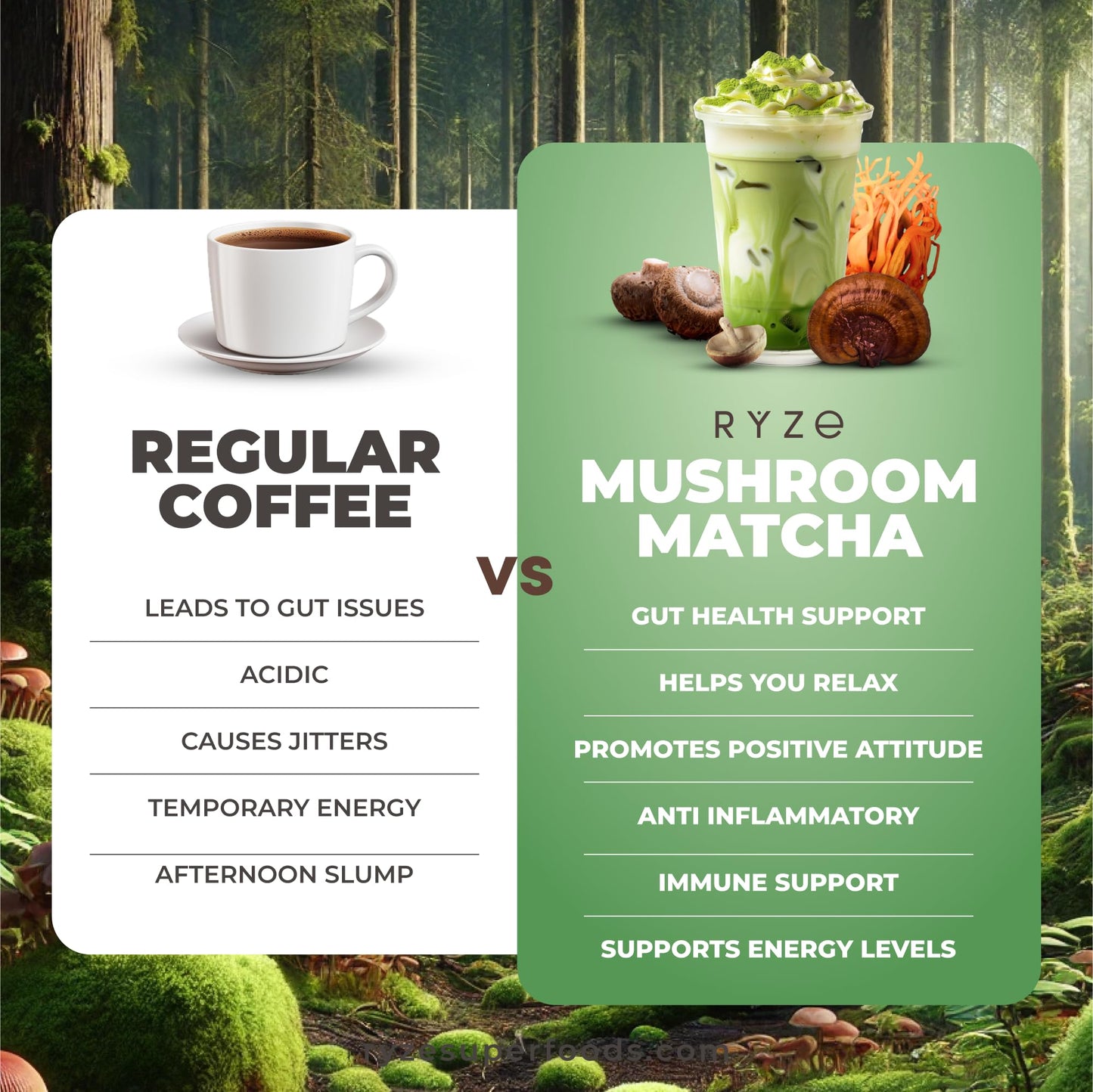 Ryze Mushroom Matcha Starter Kit, Usda Organic With 6 Adaptogenic Mushrooms And Ceremonial-Grade Japanese Matcha, Energy, Focus,