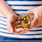 Traina Home Grown All American Sun Dried Fruit Blend -Diced Peaches, Cranberries, Blueberries, Apples, Golden Raisins, Non Gmo, Gluten Free, Value Size (5 Pounds)