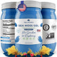 TrueSeaMoss Sea Moss Gel – Wildcrafted Sea Moss with Fresh Fruits & Sea Vegetables – 16 Fl Oz – Blue Spirulina