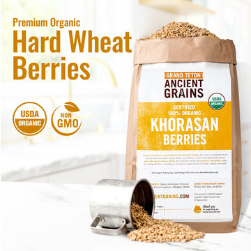 Grand Teton Khorasan Wheat Berries, 100% Organic, Premium Food-Grade, 25 lbs