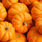 Food to Live Organic Dry Roasted Pumpkin Seed Kernels with Himalayan Salt, 2 Pounds Non-GMO, Oven Roasted Whole Pepitas, No Oil