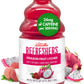 Dr. Smoothie Refreshers Drink Concentrate - Dragon Fruit Lychee, Lightly Caffeinated, 46 Fl Oz, No Artificial Colors