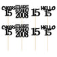 Gyufise 24Pcs Straight Outta 2008 Cupcake Toppers Glitter Fifteen Happy 15th Cupcake Picks Cheers to 15 Years Birthday Cake Deco