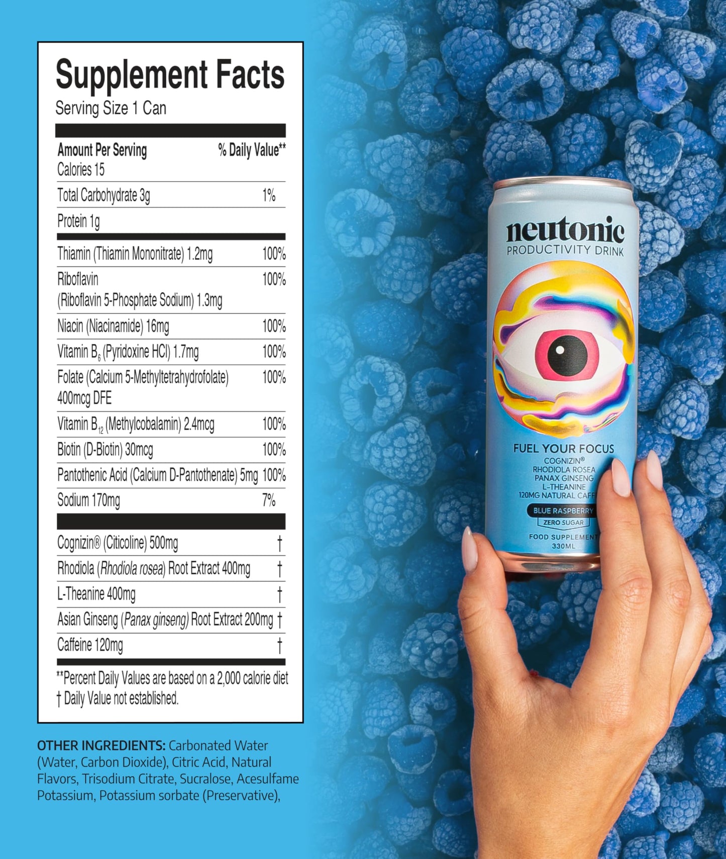 neutonic Nootropic Productivity Energy Drink | Blue Raspberry 12 Cans | 120mg Natural Caffeine  Zero Sugar | Support Memory  Mental Clarity  Cognitive Function | Boost Focus  Energy  Brain Health