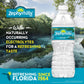 Zephyrhills, Spring Water, 16.9 Fl Oz, Plastic Bottled Water, 24 Pack