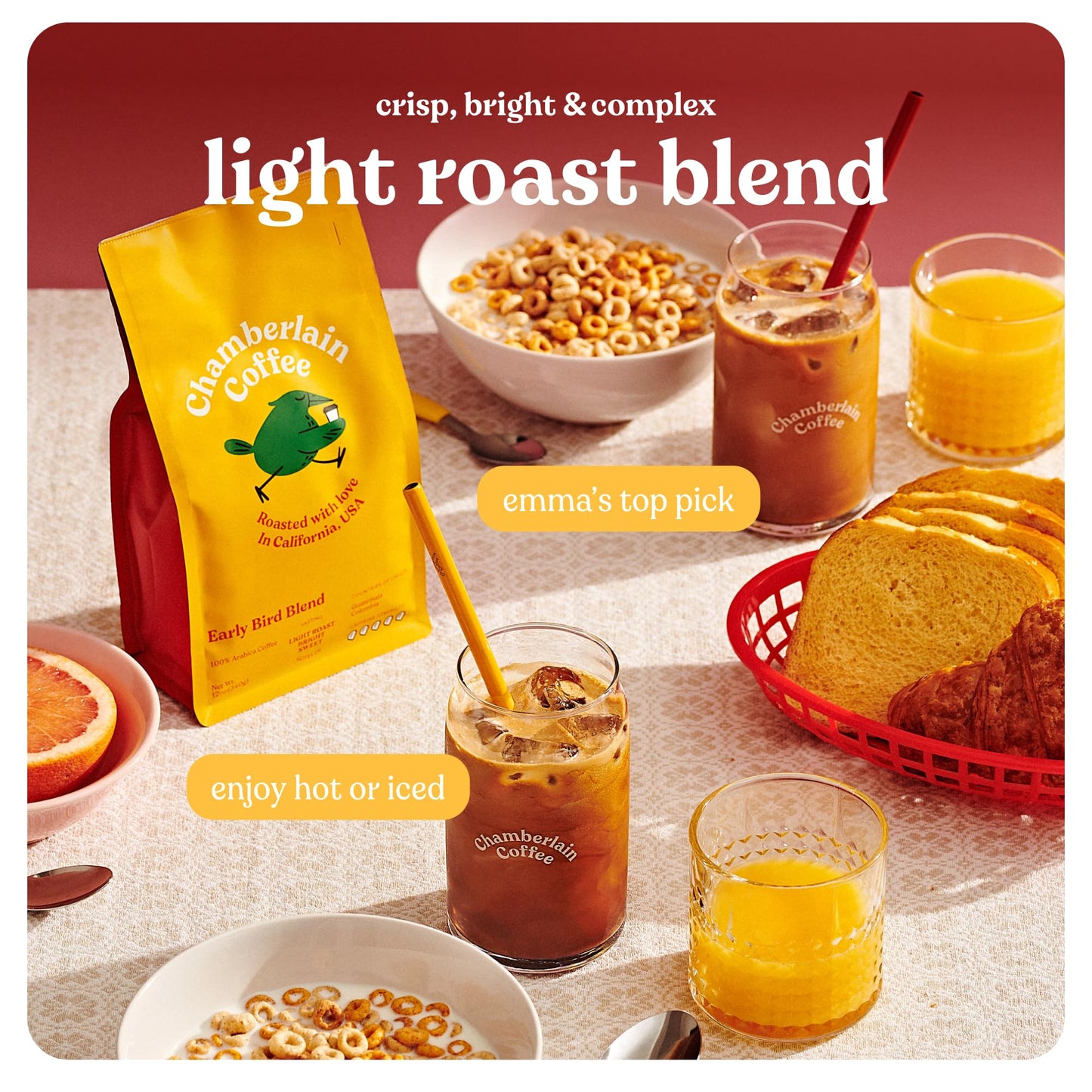 Chamberlain Coffee Early Bird Blend Light Roast Coffee Beans 12 oz Whole Bean
