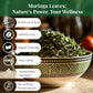 Akshit Moringa Leaves, Dried Loose Leaf Tea, Non-GMO, 2.6 oz