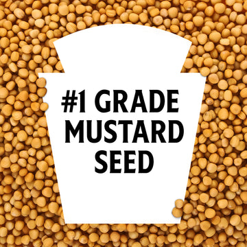Heinz Yellow Mustard, 20 Oz Bottle