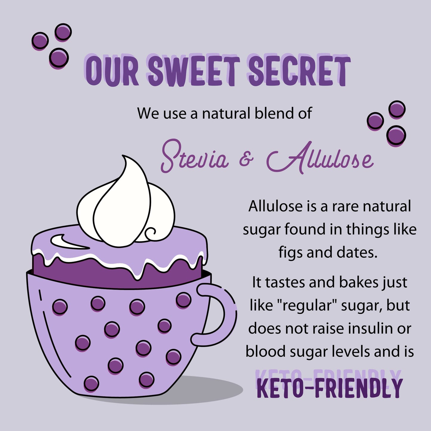 Sweet Logic Keto Baking Mix - Blueberry Muffin - Gluten-Free, Dairy-Free, High Protein - 215g