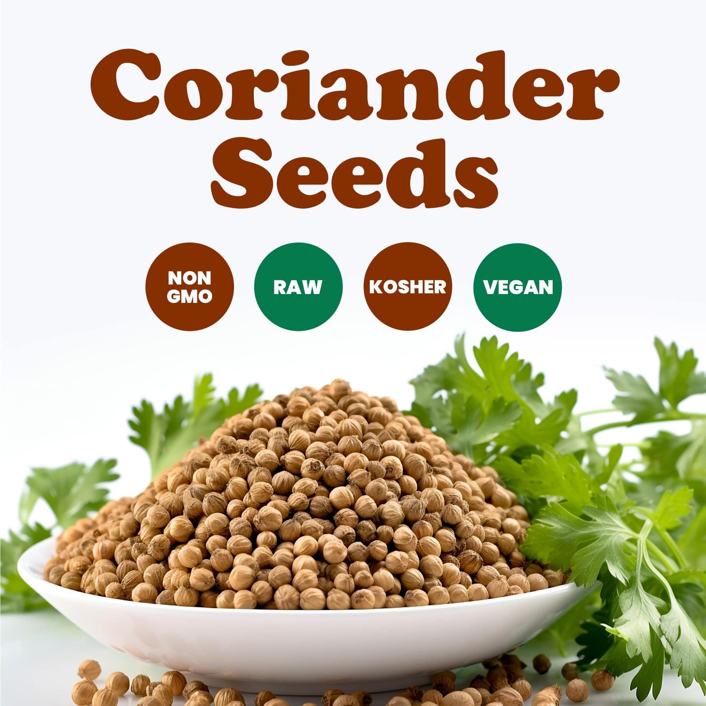 Food to Live - Whole Coriander Seeds, 1 Pound Non-GMO Verified, Dried Cilantro Seeds, Vegan, Kosher, Bulk. Rich in Antioxidants.