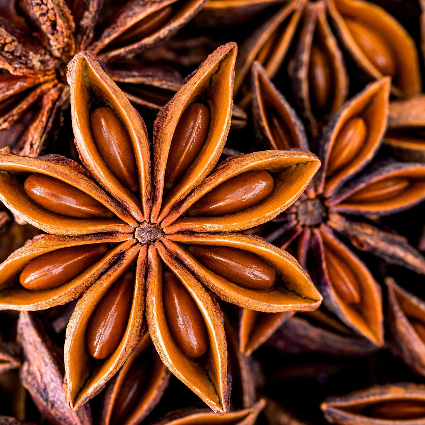 Star Anise-Whole Chinese Star Anise Pods, Dried Anise Star Spice (3 oz)