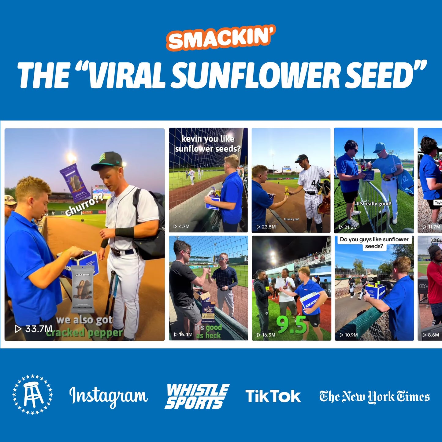 SMACKIN Jumbo Roasted Sunflower Seeds, Dill Pickle Flavor, 4oz Bag (12 Bags) - American Made, Easy Pour & Seal