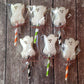 Halloween Peeps - Ghosts, Skulls, Monsters & Pumpkins - Gift Bundle Of 4, 3Oz. 6Ct Boxes (One Each) By Lyzas Sweets &