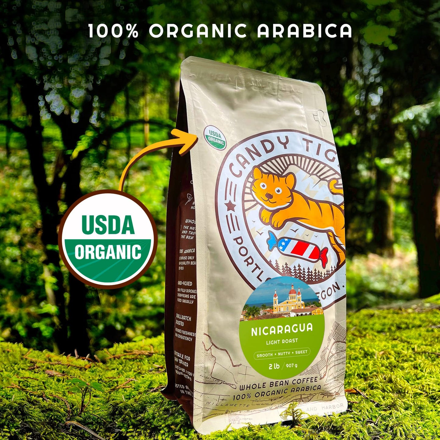 Whole Bean Coffee - Organic - Low Acid - Light Roast - Single Origin - 100% Arabica - Nicaraguan Coffee Beans - Direct Trade - S