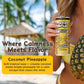 Melting Forest Mushroom D-Stress  Sparkling Adaptogen Drink with L-Theanine  Lions Mane and Vitamin B  Zero Sugar  5 Calories  Coconut Pineapple (12-Pack)