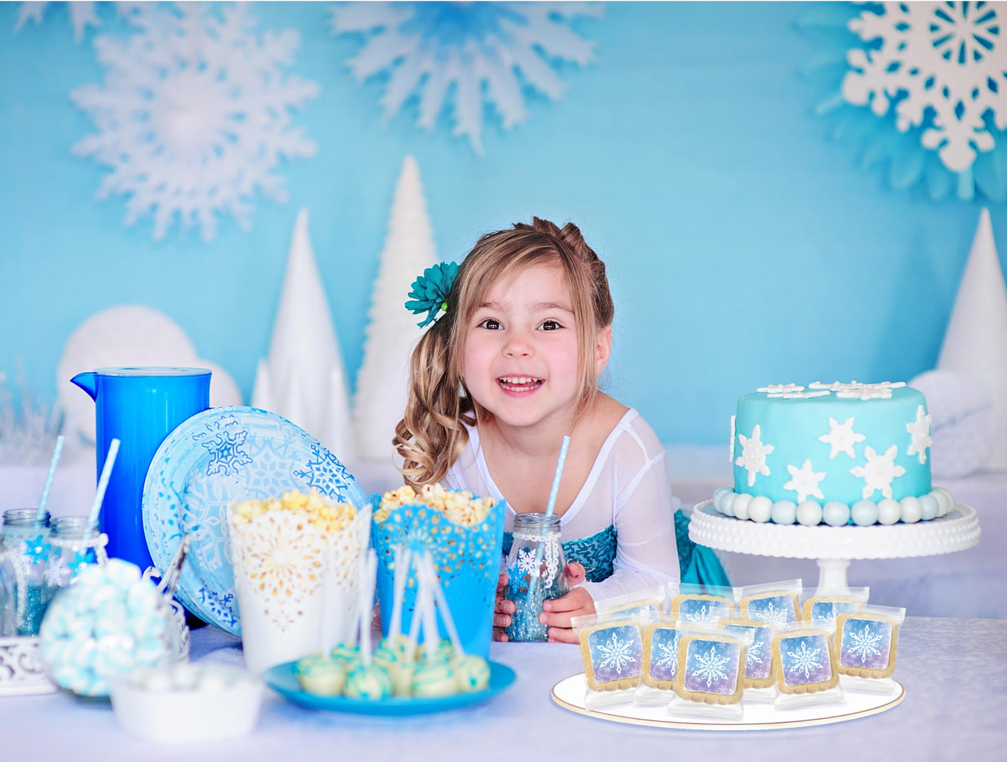 Snowflake Cookies Frozen In Individually Wrapped Snowfake Winter Themed Theme Party Favors 24 Pack Bulk For Kids Birthday Party