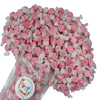 All Flavor Gourmet Saltwater Taffy (Red Cherry, 2 Pound)