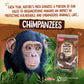 Envirokidz Organic Choco Chimps Cereal, 24 Oz (Pack Of 1), Chocolate, Gluten Free, Non-Gmo, Fair Trade, By Nature'S Path