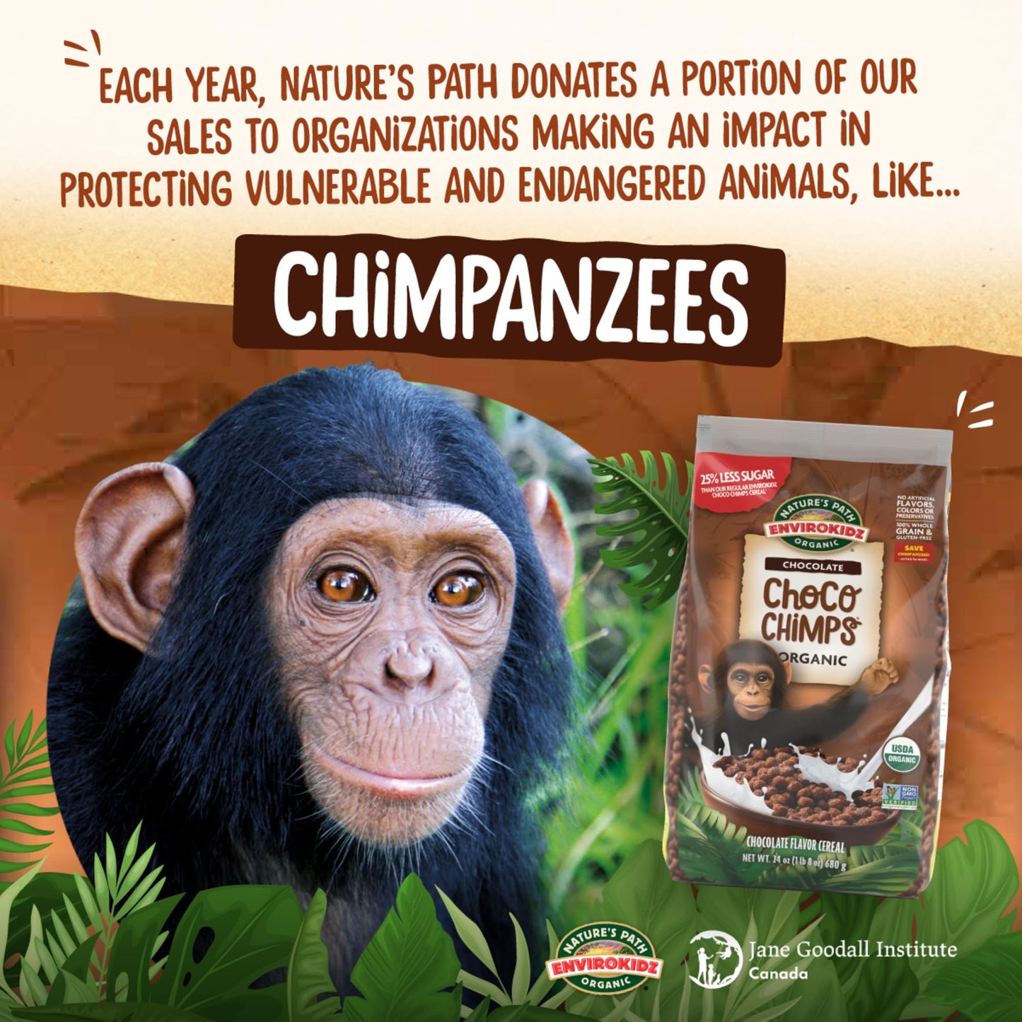 Envirokidz Organic Choco Chimps Cereal, 24 Oz (Pack Of 1), Chocolate, Gluten Free, Non-Gmo, Fair Trade, By Nature'S Path