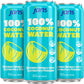 Jans 100% Coconut Water No Added Sugar 11.15oz (Pack of 12) Pure Coconut Refreshment, Vegan, Gluten-Free, Hydration with Electro
