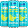Jans 100% Coconut Water No Added Sugar 11.15oz (Pack of 12) Pure Coconut Refreshment, Vegan, Gluten-Free, Hydration with Electro