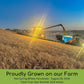 Certified Glyphosate Residue Free Hard White Wheat, Soft White Wheat, And Hard Red Spring Wheat | 9 Lbs | Non-Gmo Project Verifi