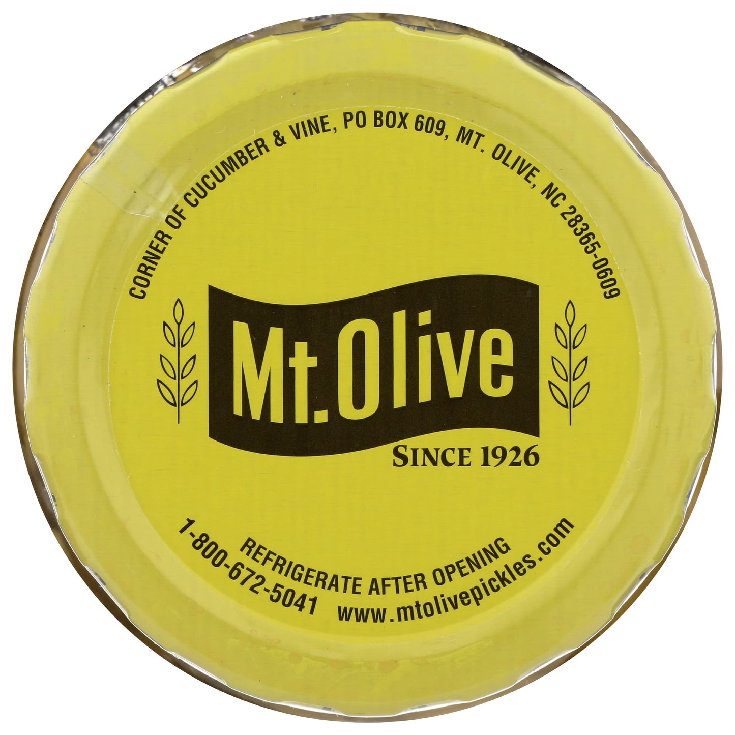Mt Olive Pickle Co - Organic Pickles - Bread And Butter Chips - Case Of 6 - 16 Fl Oz.(D0102H7Aalu.)