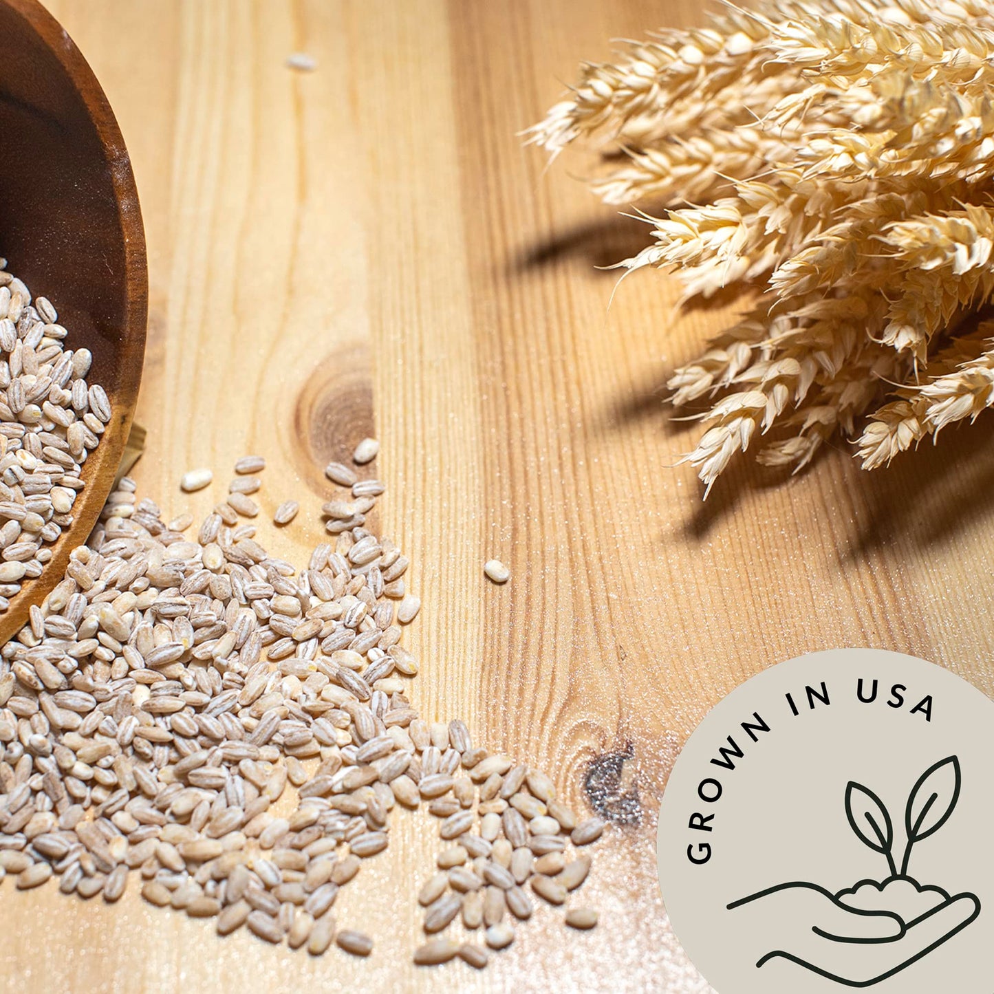 Be Still Farms Organic Pearl Barley Grain (4.8lb) - Pearled Barley Seeds for Soup Pot in Bulk - Not Hulled | Similar to Hulless