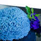 Naturegrail Bluechai Butterfly Pea Flower Powder - Natural Blue Food Coloring - 1.76 oz - Blue/White
