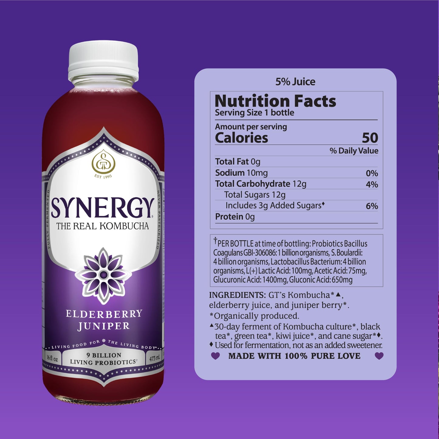 SYNERGY The Real Kombucha - Elderberry Juniper - 16 fl oz Bottle - Raw Probiotic Drink for Gut Health and Immune Support