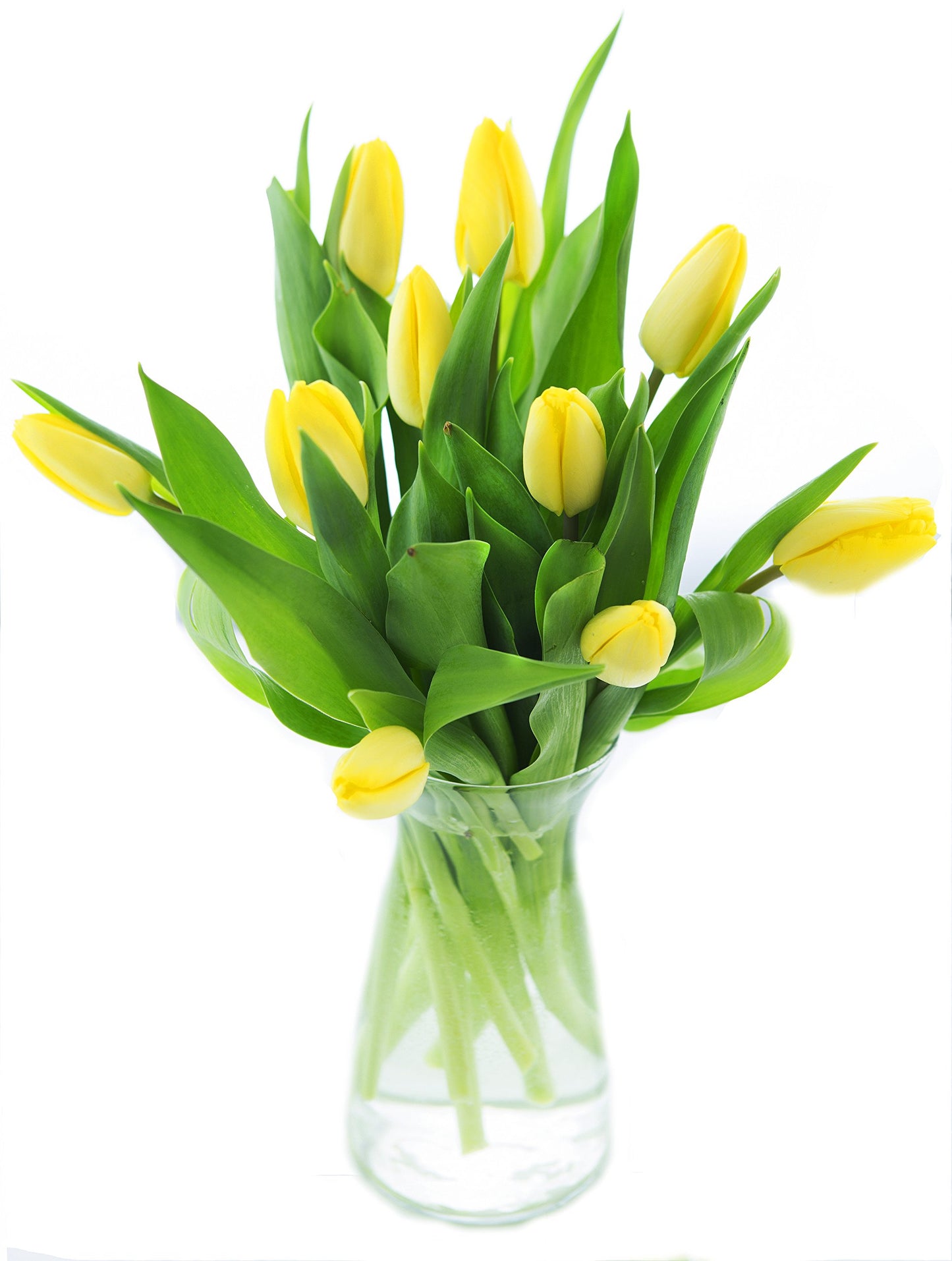 Blooms2Door Flowers - Valentine Collection - Bouquet of 10 Yellow Tulips (Farm-Fresh) with Vase - Gift for Birthday, Sympathy, Thank You, Valentine, Mother’s Day Fresh Flowers