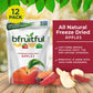 Bfruitful Freeze-Dried Apples, Freeze Dried Fresh Fruit Bites, Gluten Free, Vegan, Dairy Free, Kosher, No Sugar Added, Non Gmo,