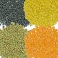 Clear Creek 100 Lb Lentil Bundle: Beluga Lentils, Gold Lentils, Green Lentils, Red Lentils In 25 Lb Buckets