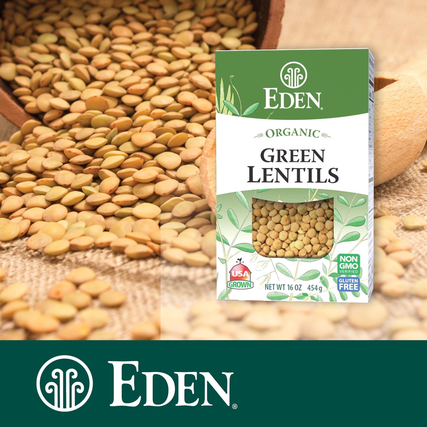 Eden Organic Green Lentils, Dry, Usa Grown, 16 Oz (1Lb)