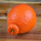 Kejora Fresh Honeybell Oranges (Minneola Tangelo) 15 Lb