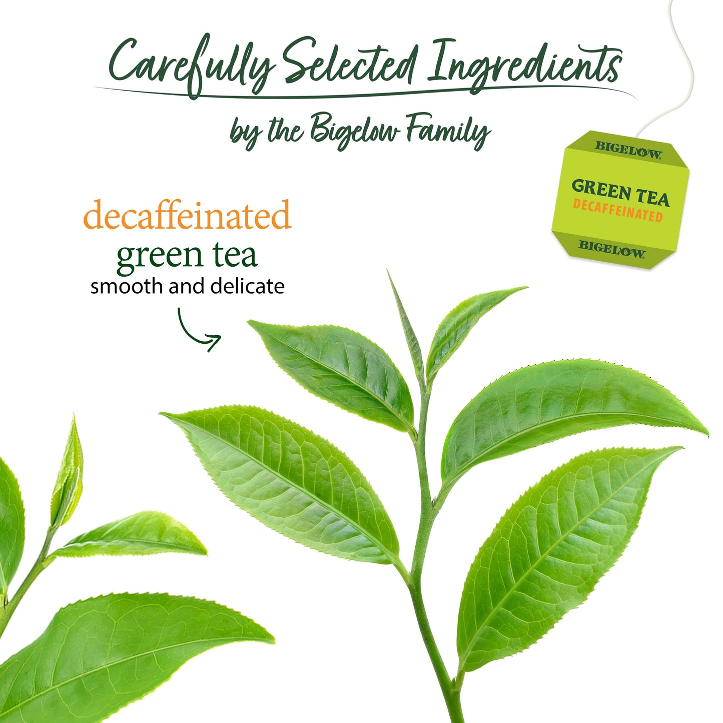 Bigelow Tea Classic Green Tea, Decaffeinated Tea, Decaf Green Tea, Count Box (Pack Of 6), 120 Total Tea Bags