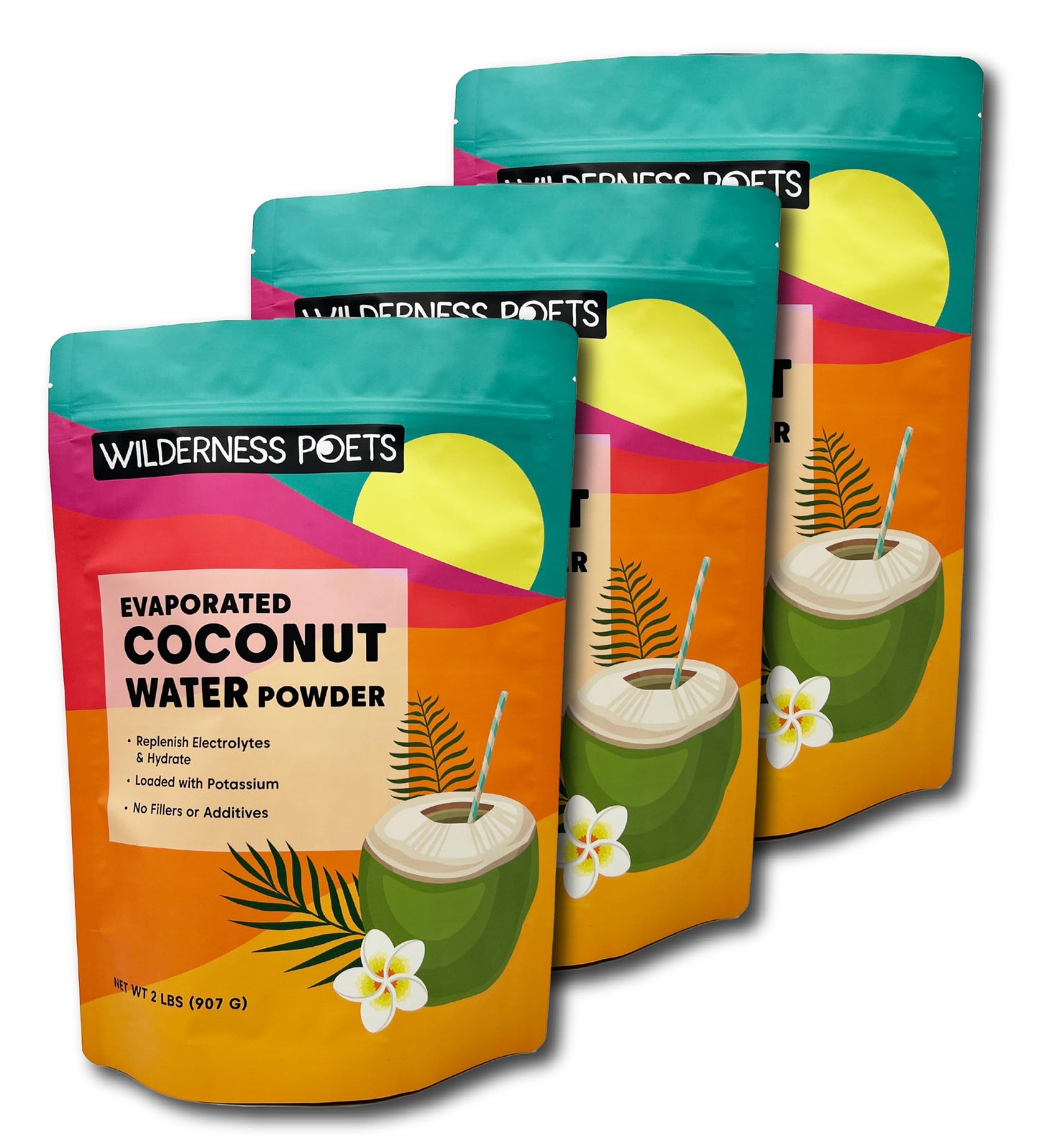 Wilderness Poets Coconut Water Powder - 100% Natural, No Fillers, Instant Mix - 32 Ounce (Pack of 3)