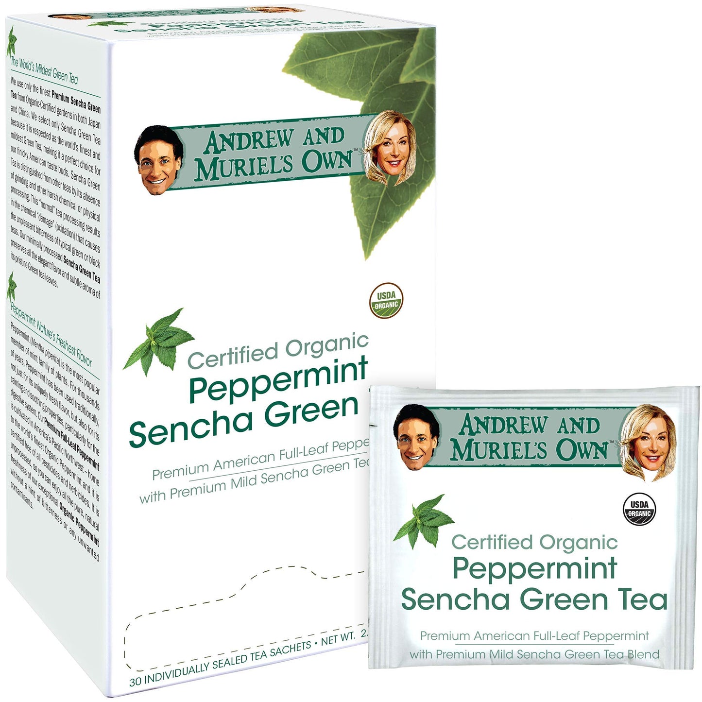 ANDREW LESSMAN Peppermint Green Tea - Organic Sencha Blend, 30 Sachets