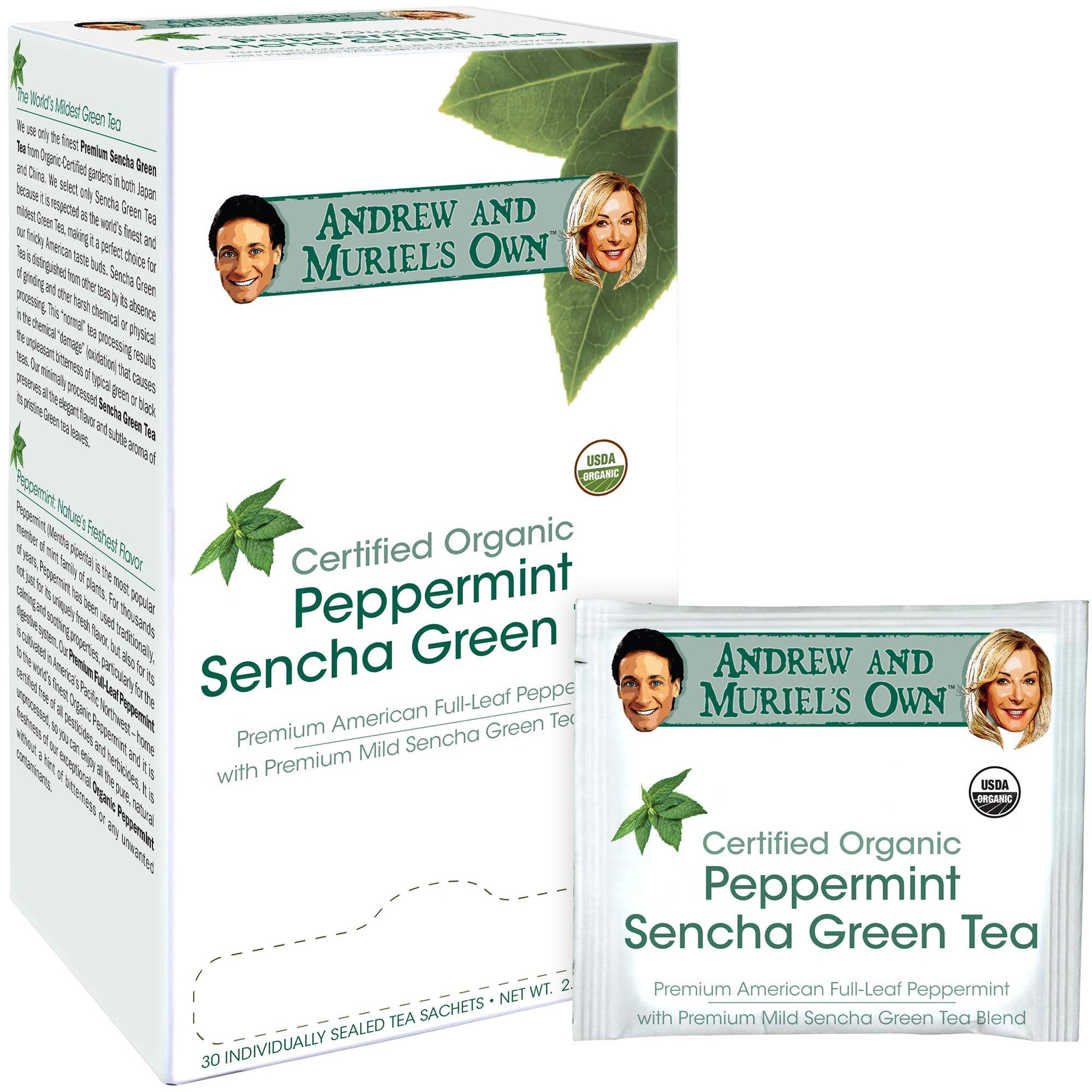 ANDREW LESSMAN Peppermint Green Tea - 60 Sachets - Organic Sencha Green Tea Blend - Refreshing Flavor