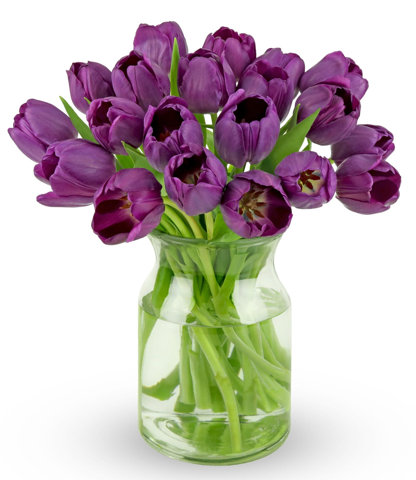 Benchmark Bouquets - 20 Stem Purple Tulips (Glass Vase Included) - Fresh Flowers For Delivery - Gift For Graduation, Birthday, Anniversary, Sympathy, Get Well, Congratulations