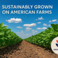 Non GMO Soybeans 7Lbs. Grown 100% in USA, Soy Beans Dry for Tofu and Soy Milk, Soybean Dry in Bulk, Identity Preserved (IP)