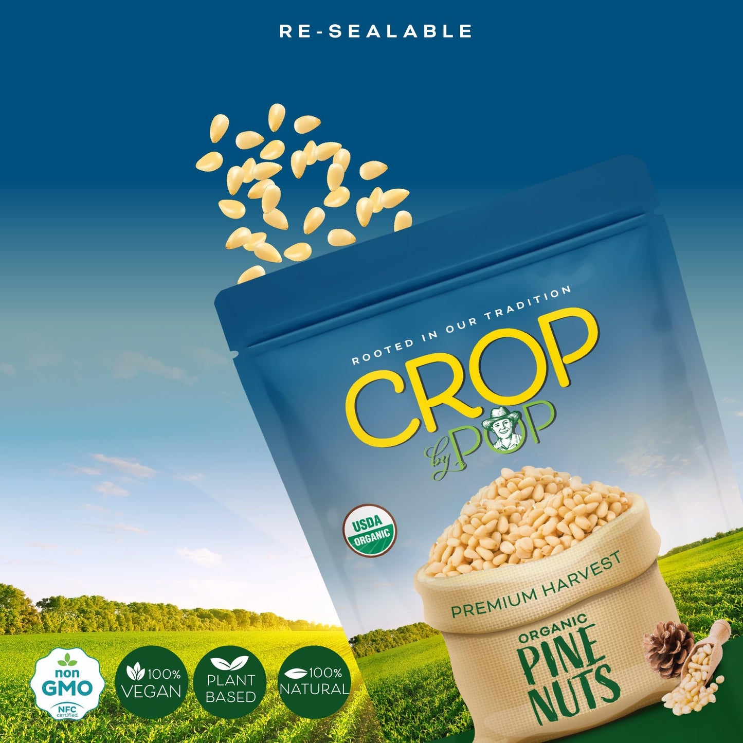 Crop By Pop - Organic Raw Pine Nuts Pignolias, Unsalted, Shelled, (6Oz - 1 Pack) Usda Organic & Non Gmo Certified - Packed Fresh