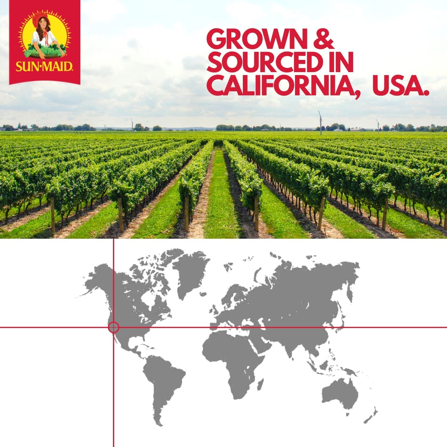 Sun-Maid California Sun-Dried Raisins - 30 lb Box - Dried Fruit Snack for Lunches, Snacks, and Natural Sweeteners