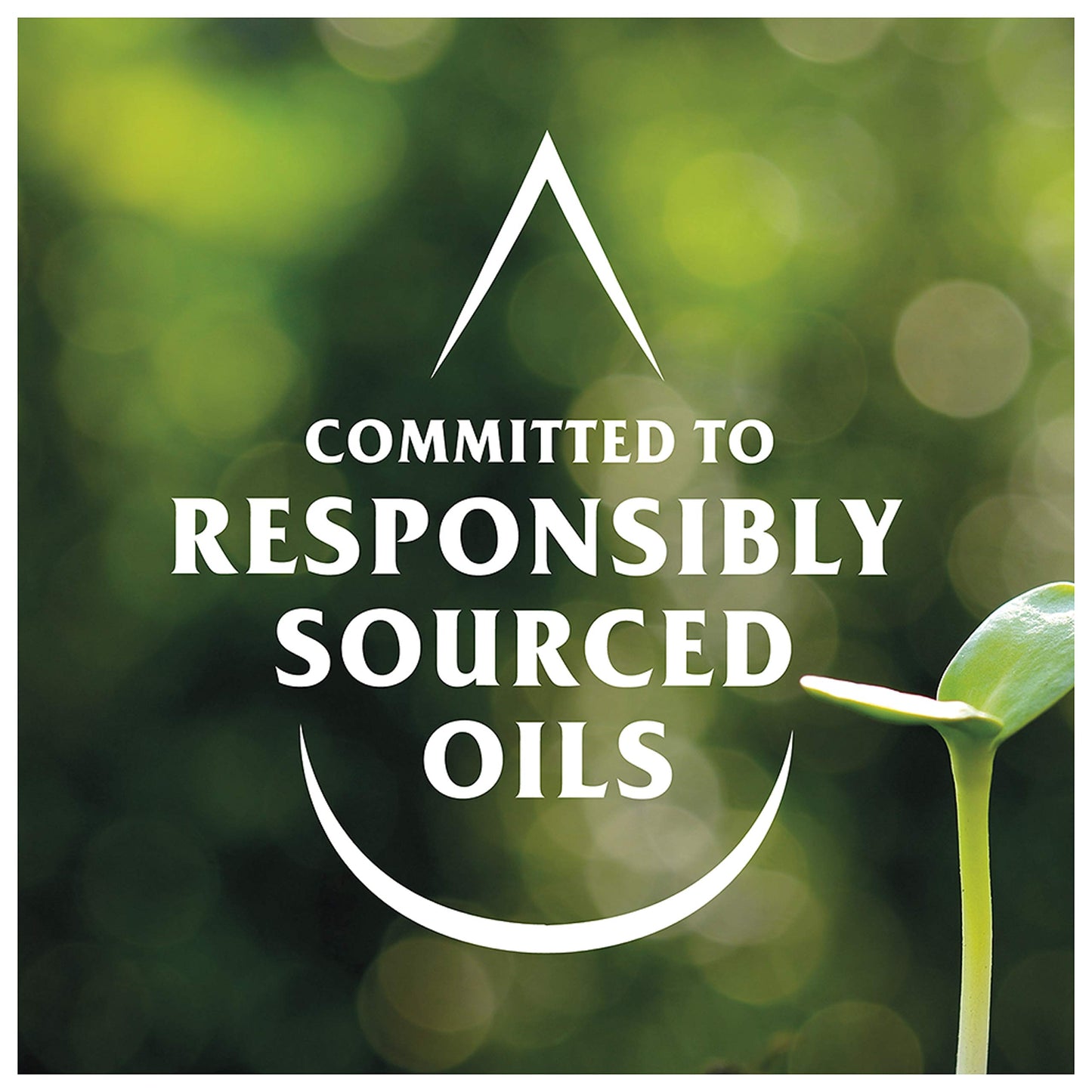 Hellmanns, Light Mayonnaise - Case of 12 - 11.5 FZ (12x11.5 FZ)